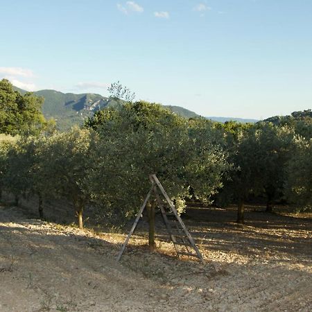 Mas Provencal La Serallere Au Coeur Des Oliviers Venterol  Exterior photo