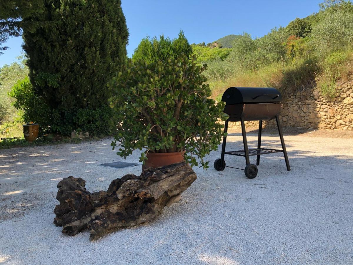 Mas Provencal La Serallere Au Coeur Des Oliviers Venterol  Exterior photo